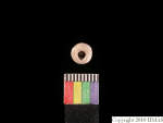 L_V23d1294 J1q27.1 Ux03 dM f16.jpg L_V23d1294 J1q27.1 Ux03 dM f16